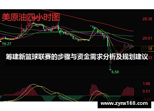 筹建新篮球联赛的步骤与资金需求分析及规划建议 筹建新篮球联赛的步骤与资金需求分析及规划建议