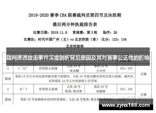 裁判遭遇攻击事件深度剖析背后原因及其对赛事公正性的影响